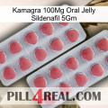 Kamagra 100Mg Oral Jelly Sildenafil 5Gm 19